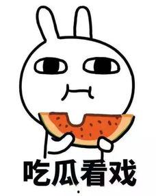 娱乐圈吃瓜沙雕动画